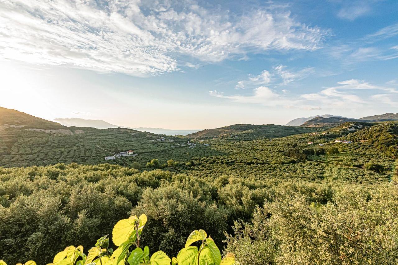 Rikanthos Stone Sea View Apartment Ι Falelianá Dış mekan fotoğraf